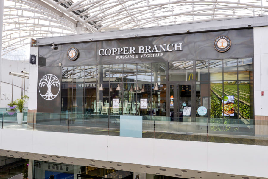 Copper Branch – Confluence